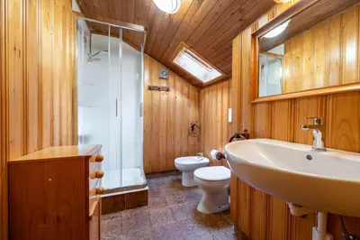 a bathroom with a sink and a toilet at Cesa Monti pallidi 1 in Canazei