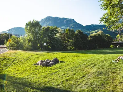 a group of animals laying on the grass in a field at Bolzano with a view in Bolzano