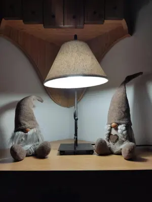two stuffed animals sitting on a table under a lamp at Cèsa Viosadea in Campitello di Fassa