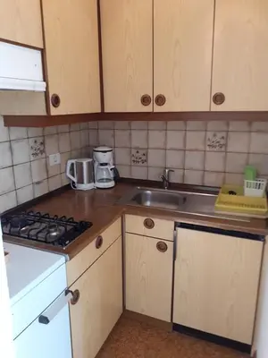 a small kitchen with a sink and a stove at Haus Tasser in San Lorenzo di Sebato