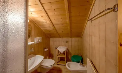 a bathroom with a sink and a toilet and a sink at Krüglwirt in San Lorenzo di Sebato