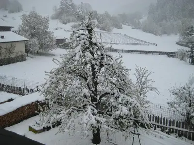 a snow covered christmas tree in a yard at Krüglwirt in San Lorenzo di Sebato