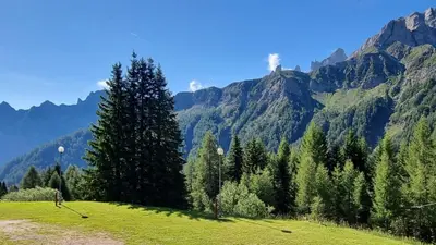 a green field with trees and mountains in the background at Casa Cortina - presso Sussy Residence in Falcade