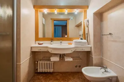 a bathroom with a sink and a mirror and a toilet at Locanda Montana in San Vito di Cadore