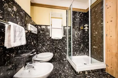 a bathroom with a toilet and a shower and a sink at Active Hotel Ancora in Predazzo