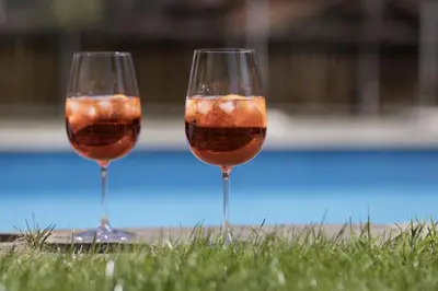 two glasses of red wine sitting in the grass at Pension Kleon in Rifiano