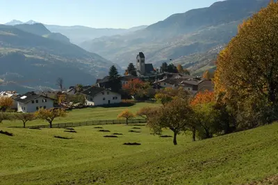a group of animals grazing in a field on a hill at Gasthaus St. Valentin in Chiusa