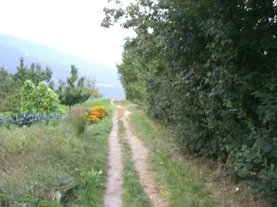 a dirt road in the middle of a field at Gasthaus St. Valentin in Chiusa