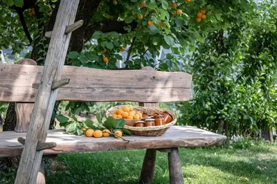 a basket of fruit and vegetables on a bench at Plunerhof in Schenna