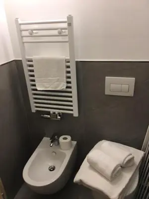 a bathroom with a sink and a toilet with towels at Casa Fabiolin in Daiano