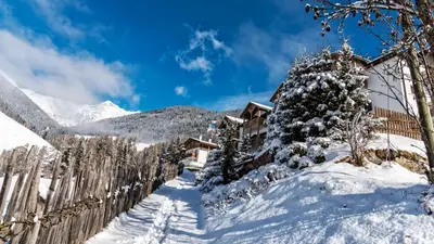 a snow covered tree in front of a house at Falkensteiner Hotel & Spa Sonnenparadies in Terento