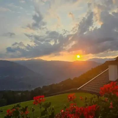 Eichernhof Apartment Marillenblüte