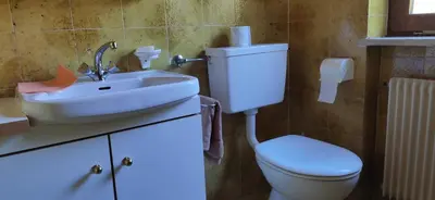 a bathroom with a white toilet and a sink at Villa for a get away in Soprabolzano