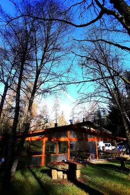 a building in the middle of a park with trees at Albergo Pineta in Castello di Fiemme