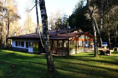 a house in the middle of a field with trees at Albergo Pineta in Castello di Fiemme