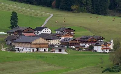 a group of houses in a green field with cows at Appartments Jagerhof in Braies