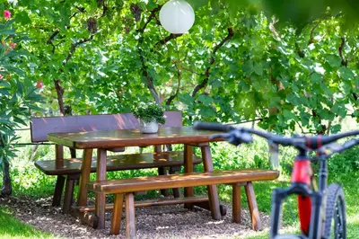 a picnic table and a bench with a potted plant at Marolhof in Cornaiano