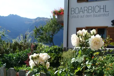 a bunch of white roses in front of a building at Ferienwohnung Boarbichlhof in Schenna