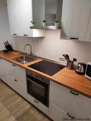 a kitchen with a sink and a counter top at Pordoi H10 - with SAUNA in Alba di Canazei