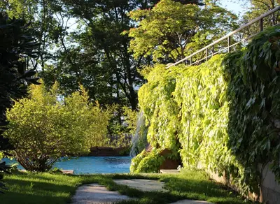 a wall covered in green ivy next to a river at Hotel Rotwand in Laives