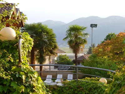 a view of a balcony with chairs and palm trees at Hotel Rotwand in Laives