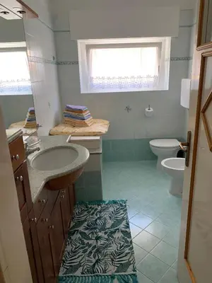 a bathroom with a sink and a toilet at Appartamento Vanoi nel cuore verde del Trentino in Canale San Bovo