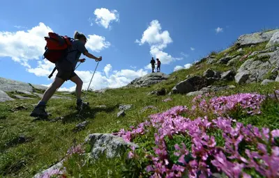 two people walking on a hill with flowers at Appartamento Vanoi nel cuore verde del Trentino in Canale San Bovo