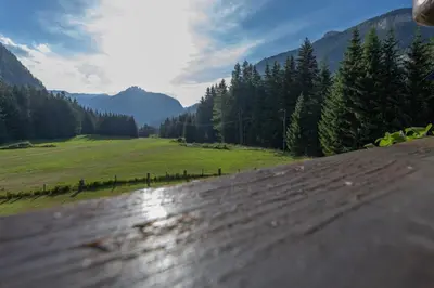 a road with a view of a field and mountains at Cesa Ardon 1 in Campitello di Fassa