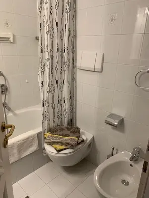 a bathroom with a toilet and a shower curtain at Villa Doris in Merano