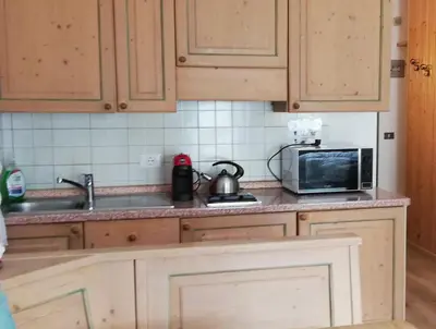 a kitchen counter with a microwave and a sink at La Casa degli Gnomi in Falcade