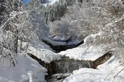 a stream covered in snow next to some trees at Bad Bergfallerhof in Valdaora