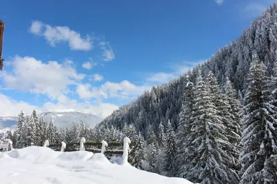a snowy mountain with snow covered trees and mountains at Bad Bergfallerhof in Valdaora