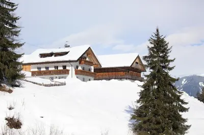 a ski lodge in the snow with a pine tree at Bad Bergfallerhof in Valdaora