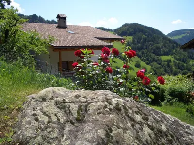 a house with red roses in front of a rock at Lafreiderhof in Castelrotto