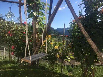 a swing in a garden with roses at Lafreiderhof in Castelrotto