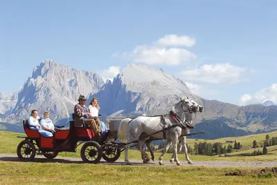 a group of people riding in a horse drawn carriage at Piccolo Hotel Sciliar in Alpe di Siusi