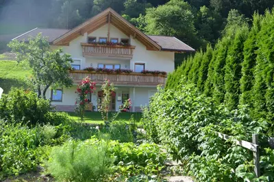a house in a vineyard with a garden at Pretzerhof in Campo di Trens