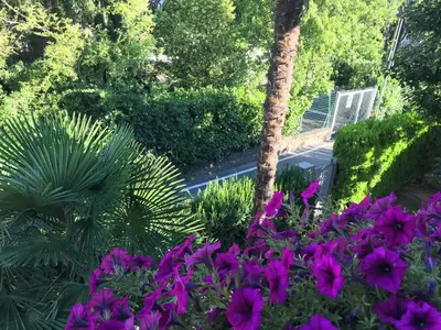 a garden with purple flowers and a palm tree at Apartment Villa Huber in Bolzano