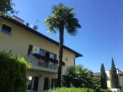 a palm tree in front of a house at Apartment Villa Huber in Bolzano