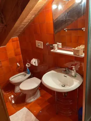 a bathroom with a toilet and a sink at Appartamento Cortina d'Ampezzo Lovely Hearts in Cortina dʼAmpezzo