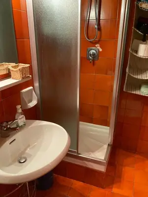 a bathroom with a sink and a shower at Appartamento Cortina d'Ampezzo Lovely Hearts in Cortina dʼAmpezzo