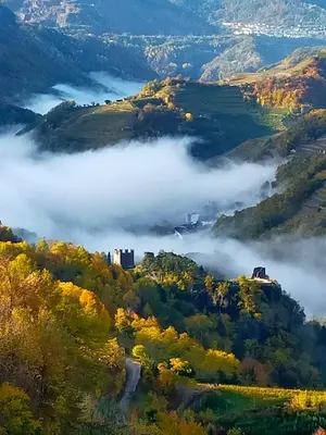 a misty valley in the hills with trees and buildings at Apt. BELLA VISTA nel Cuore della Valle di Cembra. in Segonzano