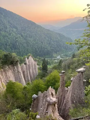 a view of a mountain with trees and rocks at Apt. BELLA VISTA nel Cuore della Valle di Cembra. in Segonzano