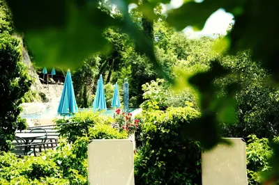 a group of blue umbrellas in a garden at Villa Sasso in Merano