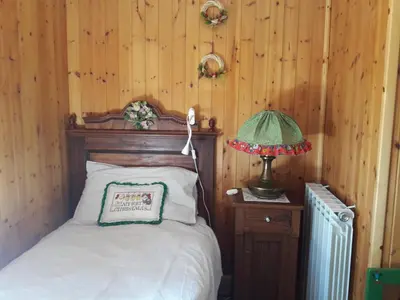 a bedroom with a bed and a lamp and wooden walls at Conte Moro, ospitalità in Vanoi in Canale San Bovo