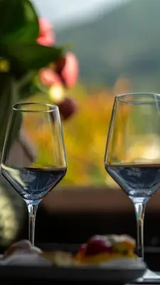two glasses of white wine sitting on a table at Appartamento Lichtenegg a Merano in Merano