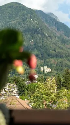 a view of a mountain with trees and a city at Appartamento Lichtenegg a Merano in Merano
