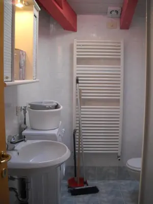 a bathroom with a toilet and a sink at Villetta Enrosadira in Vigo di Fassa