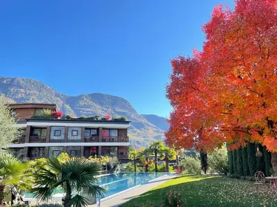a swimming pool with palm trees in the background at Hotel Ansitz Plantiz in Merano