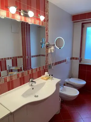 a bathroom with a sink and a toilet and a mirror at Apartments Soval in Santa Cristina in Val Gardena